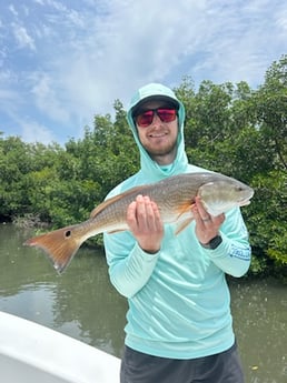 Fishing in Tampa, Florida
