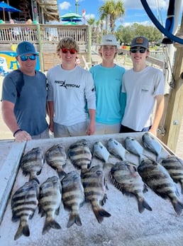 Fishing in Orange Beach, Alabama