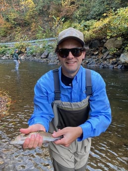 Rainbow Trout fishing in Leicester, North Carolina