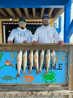 Black Drum, Redfish Fishing in Port Aransas, Texas
