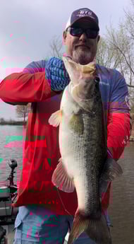 Largemouth Bass Fishing in Lake Fork, Texas