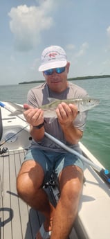 Fishing in Islamorada, Florida