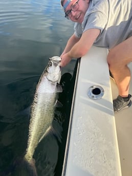 Tarpon Fishing in Miami Beach, Florida