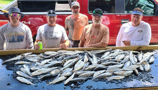 Speckled Trout / Spotted Seatrout fishing in Yscloskey, Louisiana