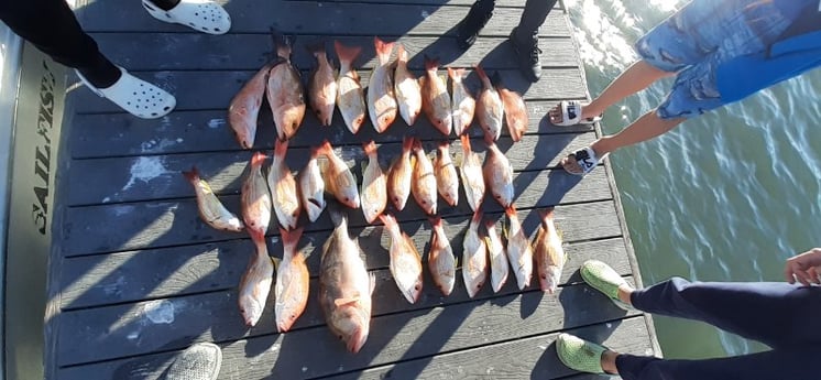 Fishing in Sarasota, Florida