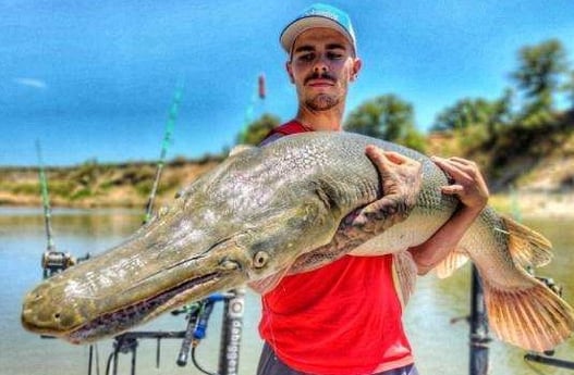 Alligator Gar Fishing in Dallas, Texas