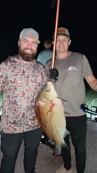 Carp Fishing in Waco, Texas