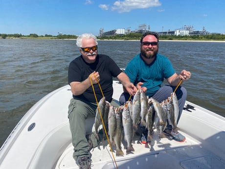 Speckled Trout / Spotted Seatrout fishing in Port Arthur, Texas, USA