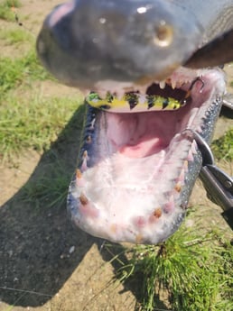 Fishing in Lufkin, Texas