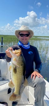 Largemouth Bass Fishing in Wellington, Florida