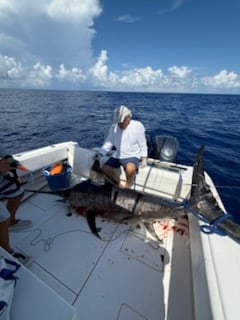Fishing in St. Petersburg, Florida
