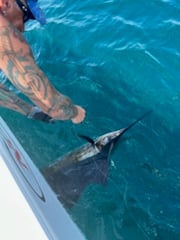 Fishing in Stuart, Florida