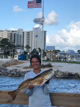 Redfish fishing in Orange Beach, Alabama