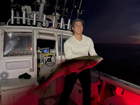 Fishing in Southampton, New York