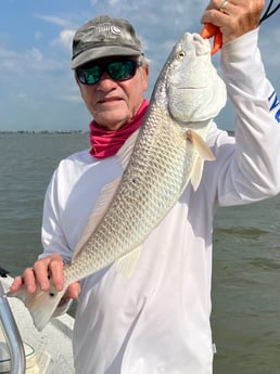 Redfish Fishing in Galveston, Texas