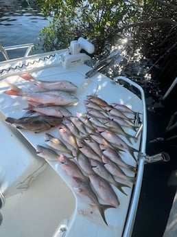 Fishing in Islamorada, Florida