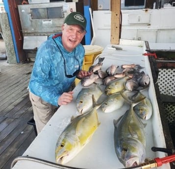 Jack Crevalle, Mangrove Snapper Fishing in Key West, Florida