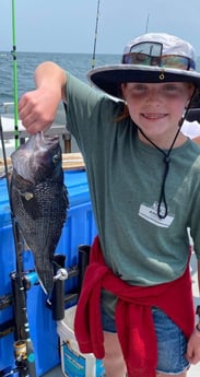 Black Seabass Fishing in Clearwater, Florida