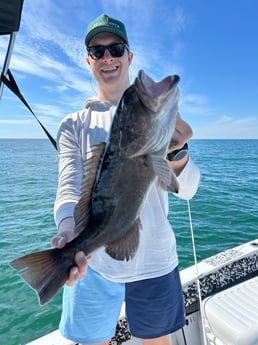 Fishing in Bay Pines, Florida