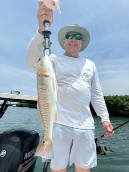 Fishing in Sarasota, Florida