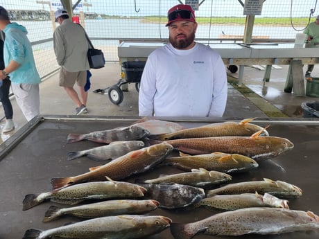 Black Drum, Redfish, Speckled Trout Fishing in Matagorda, Texas