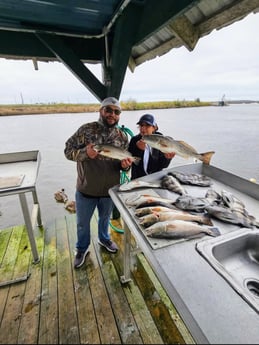Black Drum, Redfish Fishing in
