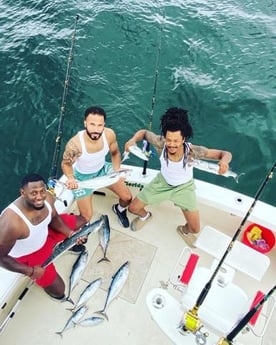 Barracuda, Skipjack Tuna Fishing in Pompano Beach, Florida