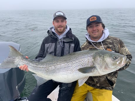 Striped Bass fishing in Virginia Beach, Virginia
