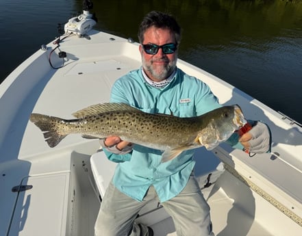 Fishing in St. Petersburg, Florida