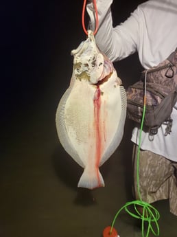 Flounder Fishing in Rio Hondo, Texas