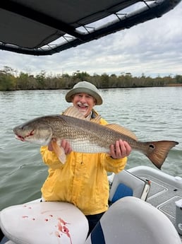 Redfish Fishing in Boothville-Venice, Louisiana, USA