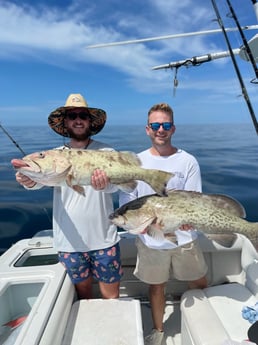 Gag Grouper Fishing in Gulfport, Florida