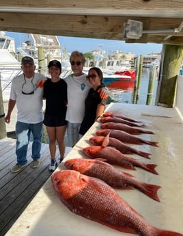 Fishing in Orange Beach, Alabama