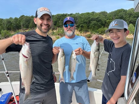 Hybrid Striped Bass Fishing in