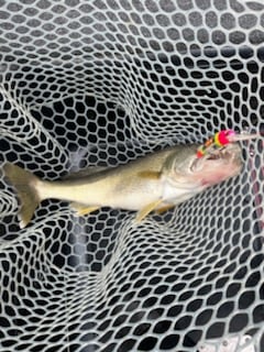 Fishing in Vermilion, Ohio