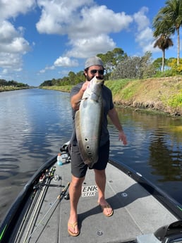 Clown Knifefish Fishing in Boca Raton, Florida