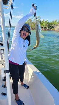 Fishing in Sarasota, Florida