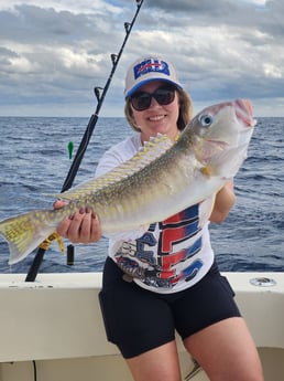 Fishing in Miami Beach, Florida