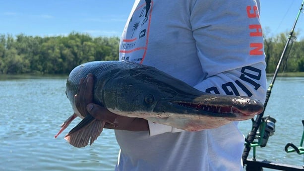 Fishing in Dallas, Texas