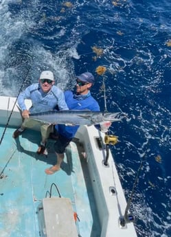 Wahoo Fishing in West Palm Beach, Florida
