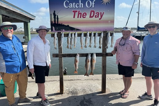 Redfish, Speckled Trout Fishing in