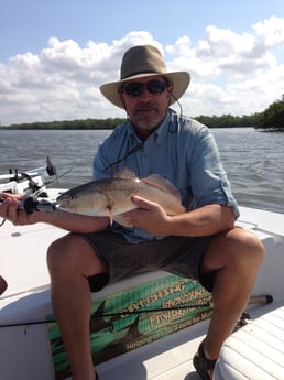 Redfish fishing in Fort Myers Beach, Florida
