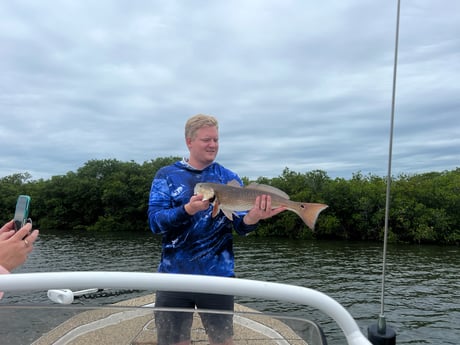 Redfish Fishing in Crystal River, Florida
