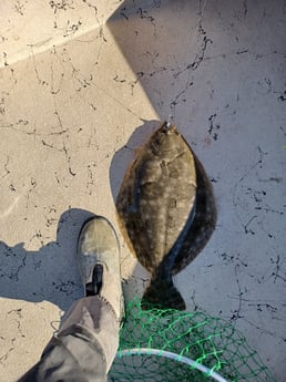 Flounder fishing in Tiki Island, Texas