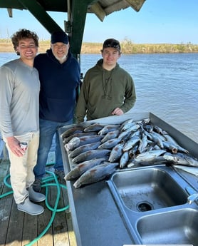 Redfish, Speckled Trout Fishing in