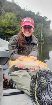 Golden Trout Fishing in Broken Bow, Oklahoma