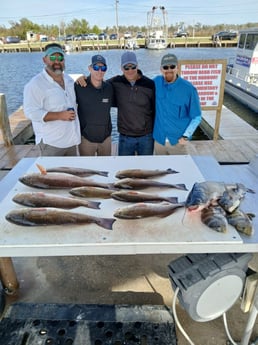 Fishing in Lafitte, Louisiana