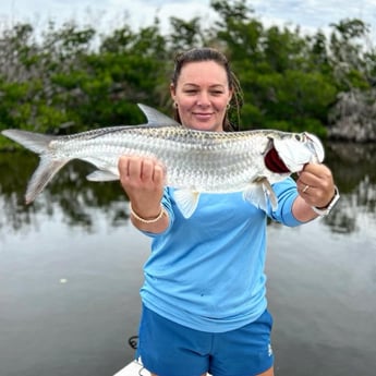 Tarpon Fishing in Cape Coral, Florida