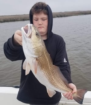 Redfish fishing in Sulphur, Louisiana