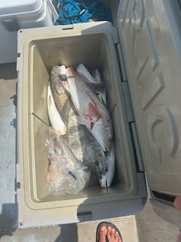 Fishing in Rockport, Texas